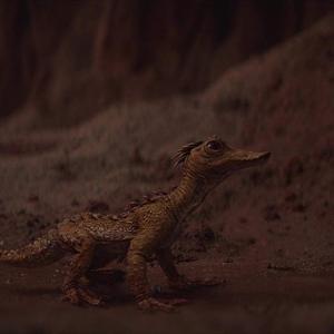 Foto di The Mandalorian