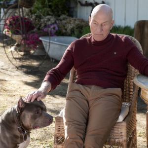Foto di Star Trek: Picard