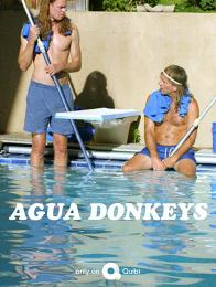 Agua Donkeys