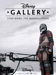 Disney Gallery / Star Wars: The Mandalorian