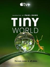 Tiny World