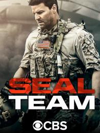 SEAL Team