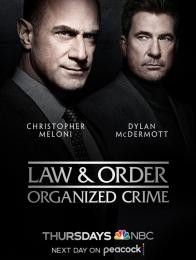 Law & Order: Criminalità Organizzata