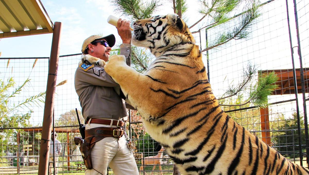 Tiger King: una possibile Serie TV Spin-off dello Show Netflix?