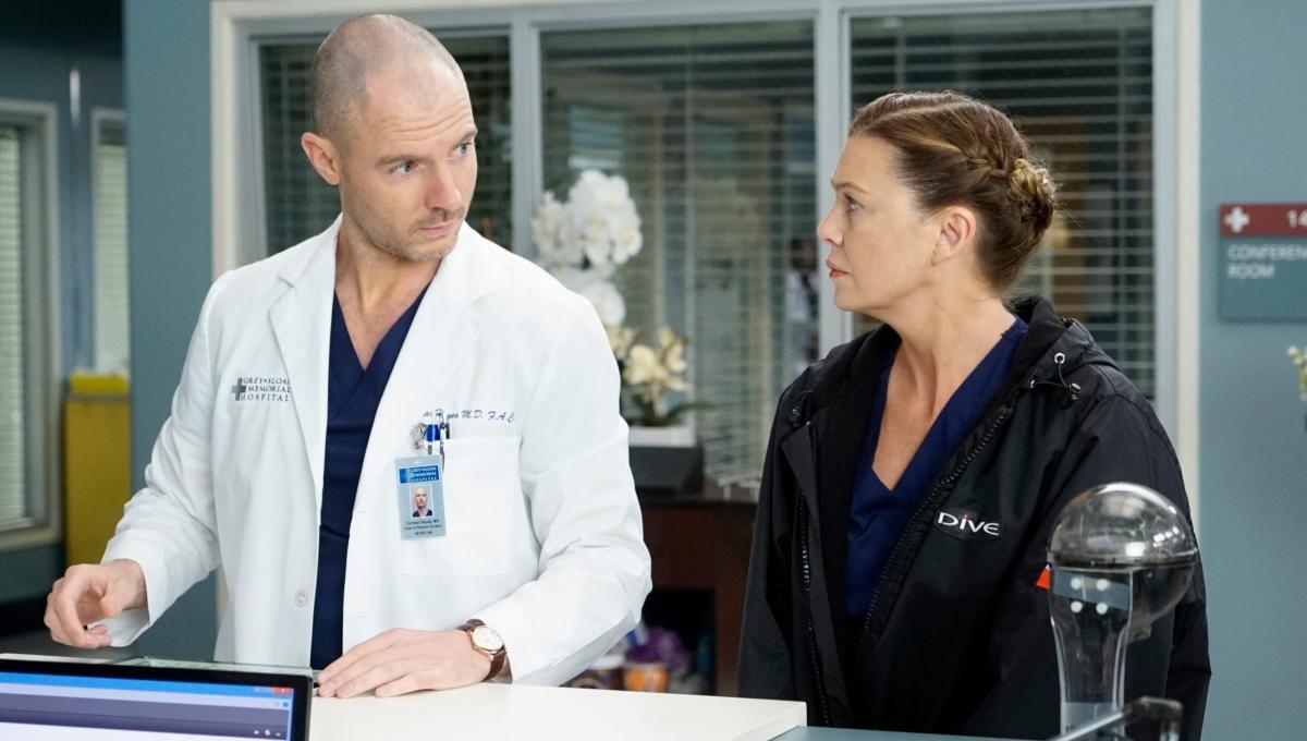 Grey's Anatomy 17: le Novità nel Cast della nuova Stagione