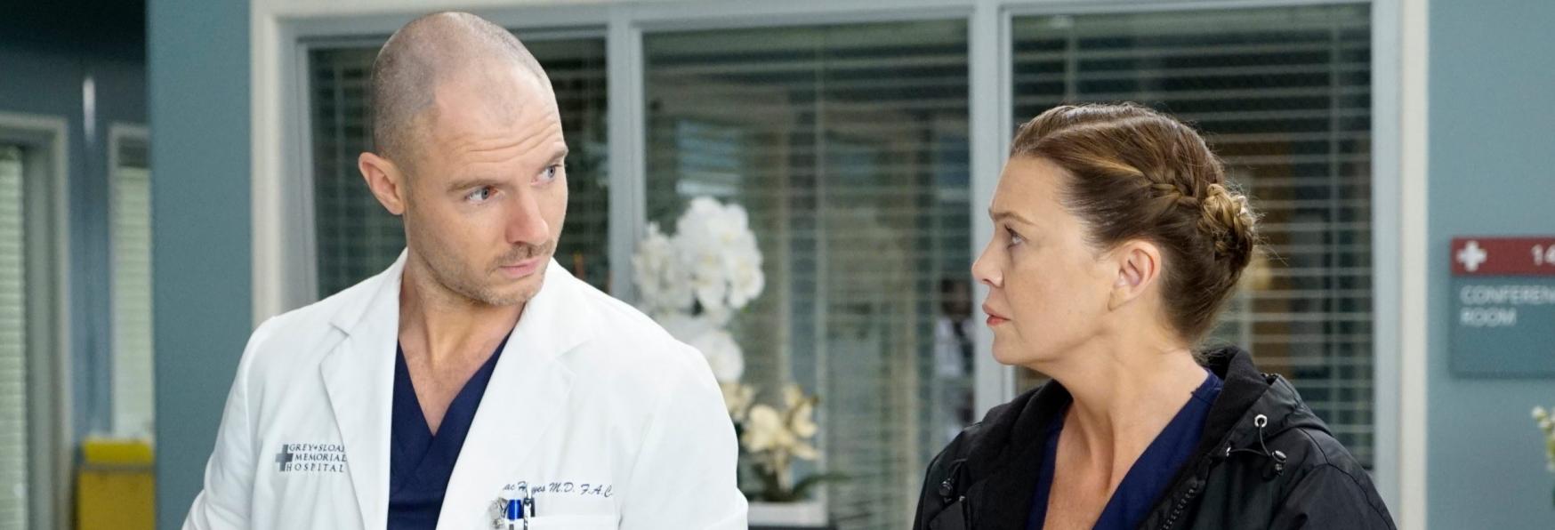 Grey's Anatomy 17: le Novità nel Cast della nuova Stagione