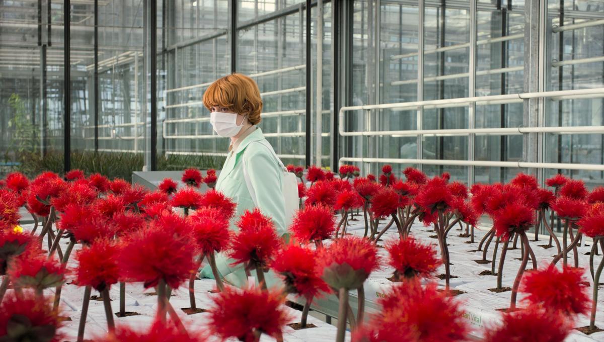1899: Emily Beecham sarà la Protagonista della nuova Serie TV dei Creatori di Dark