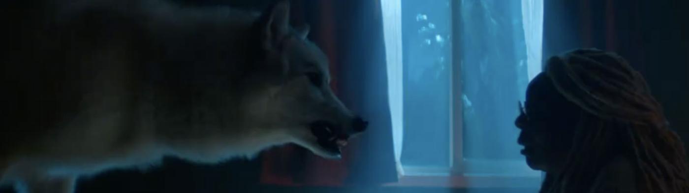 The Stand: ecco come il 4° Episodio differisce dal Romanzo di Stephen King