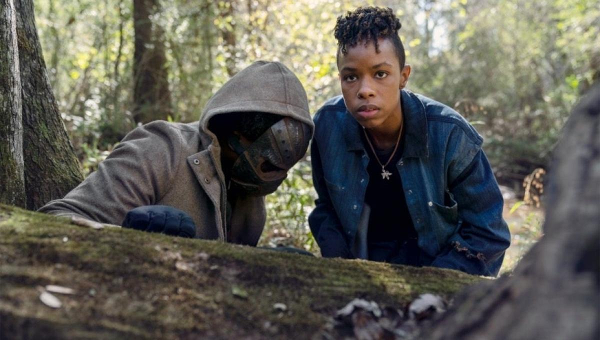 Immagine secondaria dell'articolo