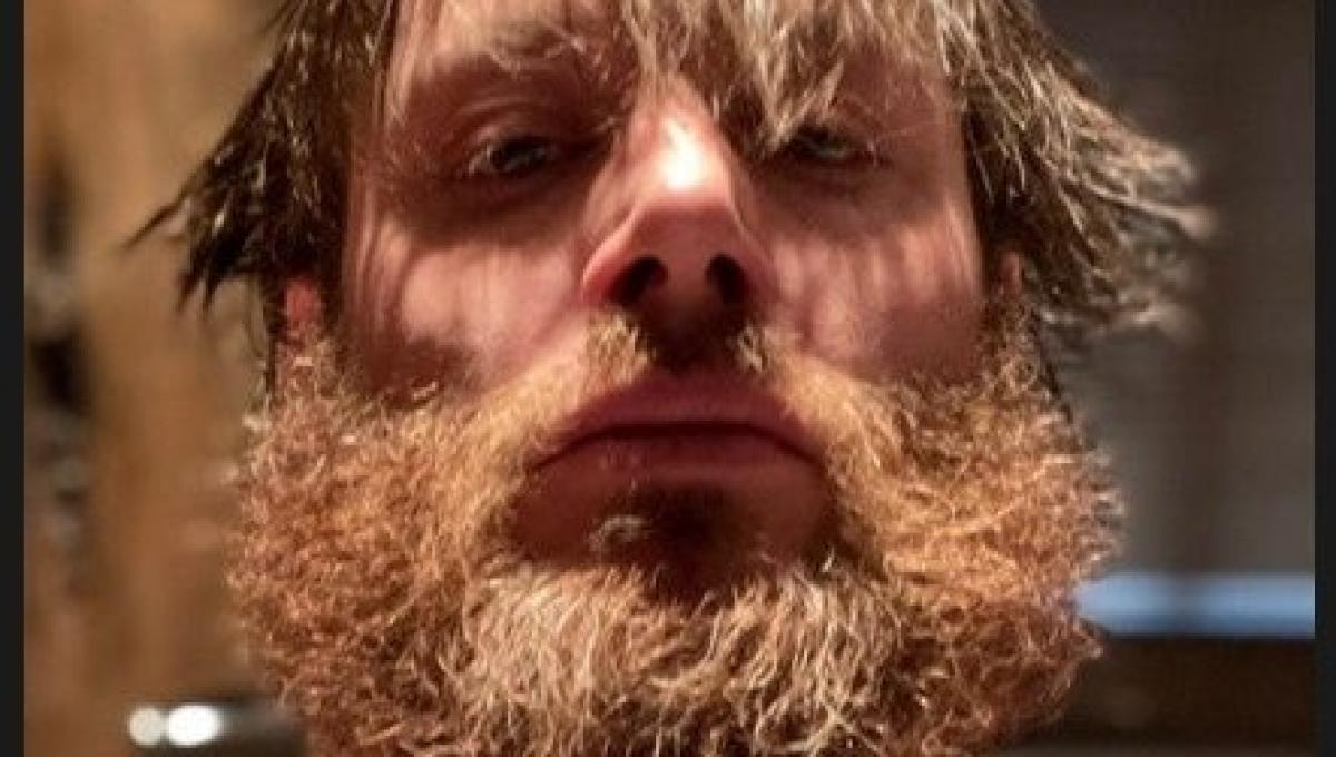 Immagine secondaria dell'articolo