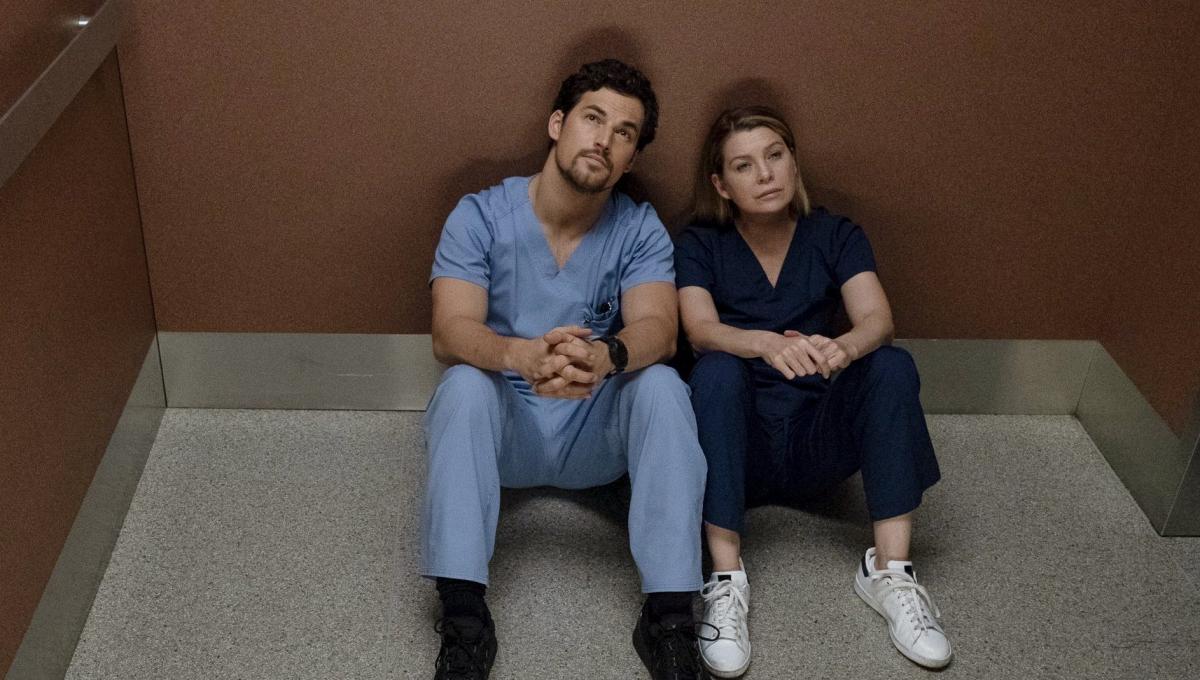 Grey’s Anatomy 18 ci sarà? Le star parlano del Futuro della Serie TV