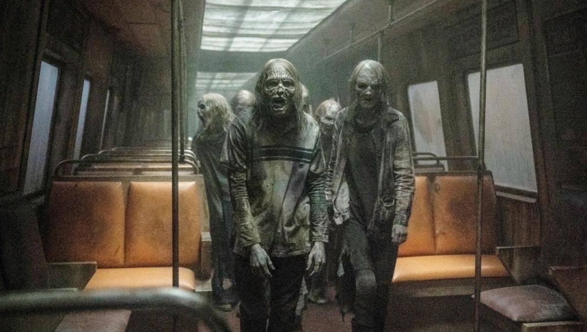 Immagine secondaria dell'articolo