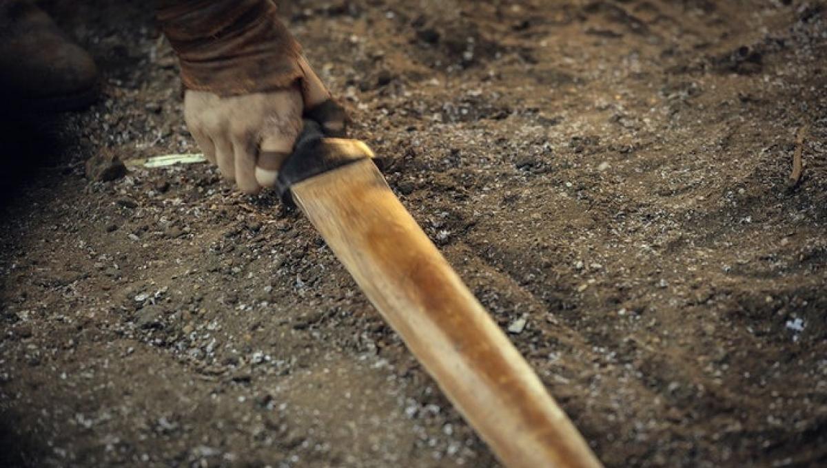 Immagine secondaria dell'articolo