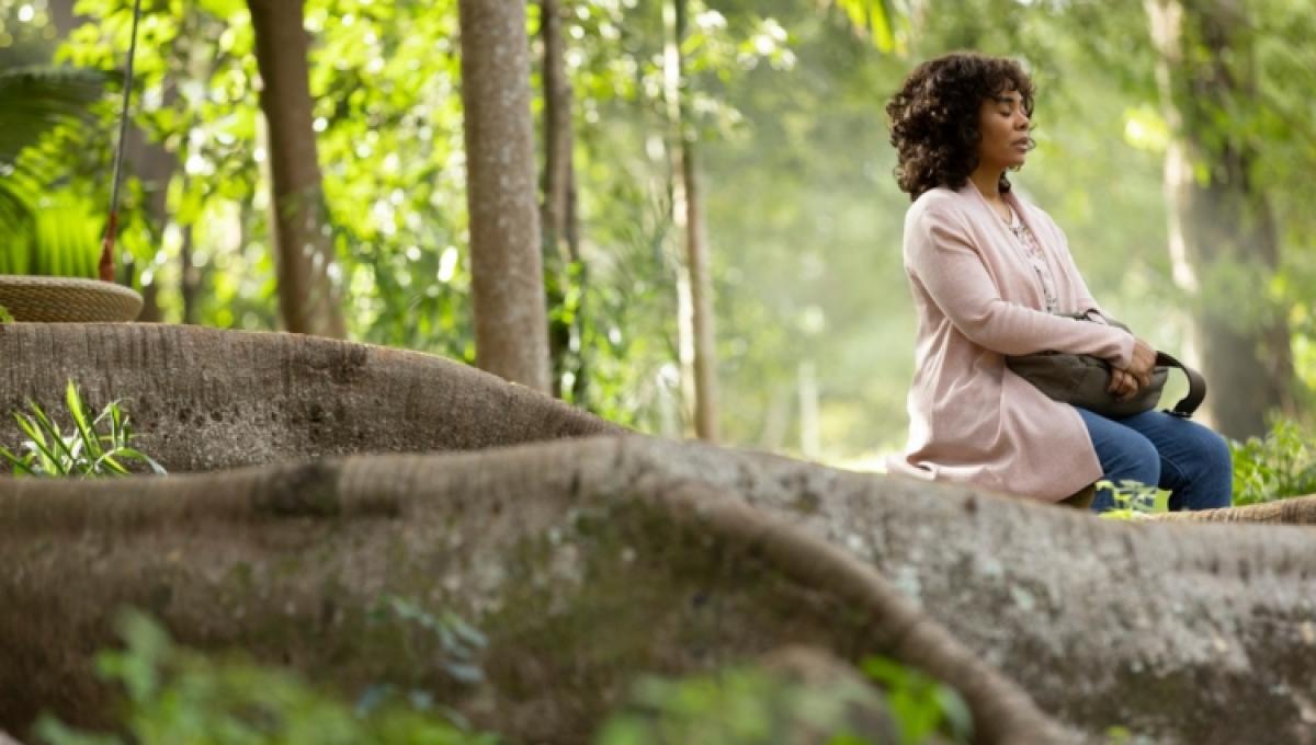 Immagine secondaria dell'articolo