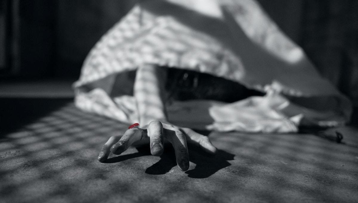 Immagine secondaria dell'articolo