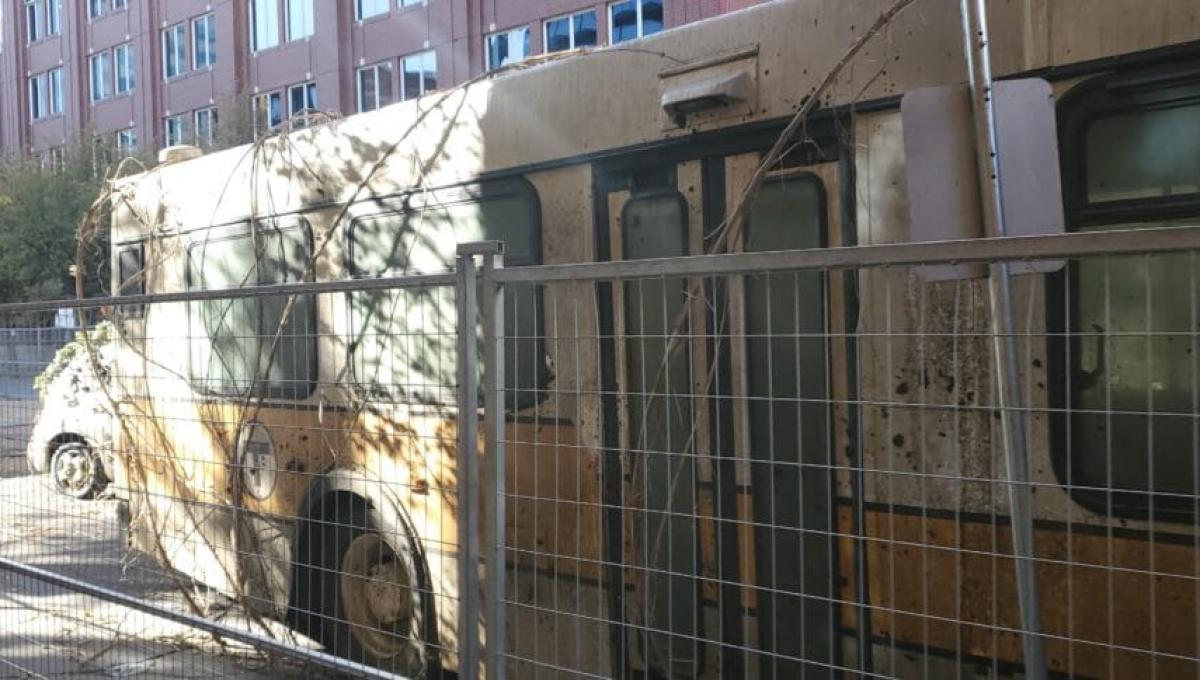 Immagine secondaria dell'articolo