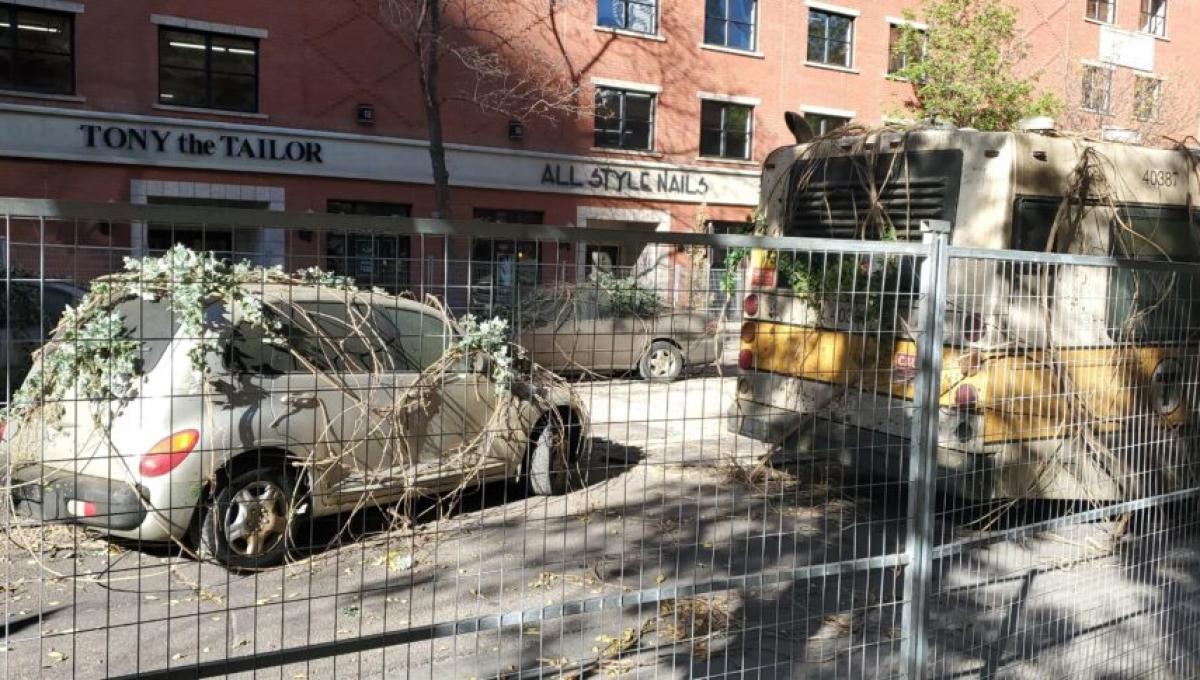 Immagine secondaria dell'articolo