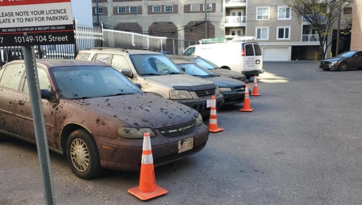 Immagine secondaria dell'articolo