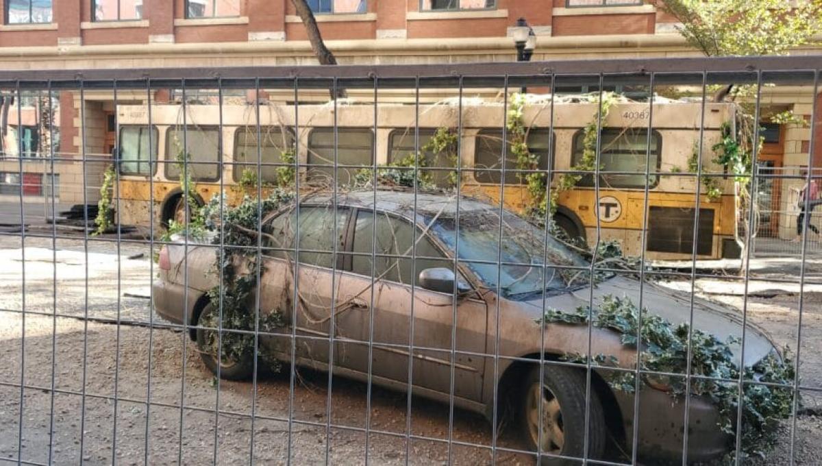 Immagine secondaria dell'articolo