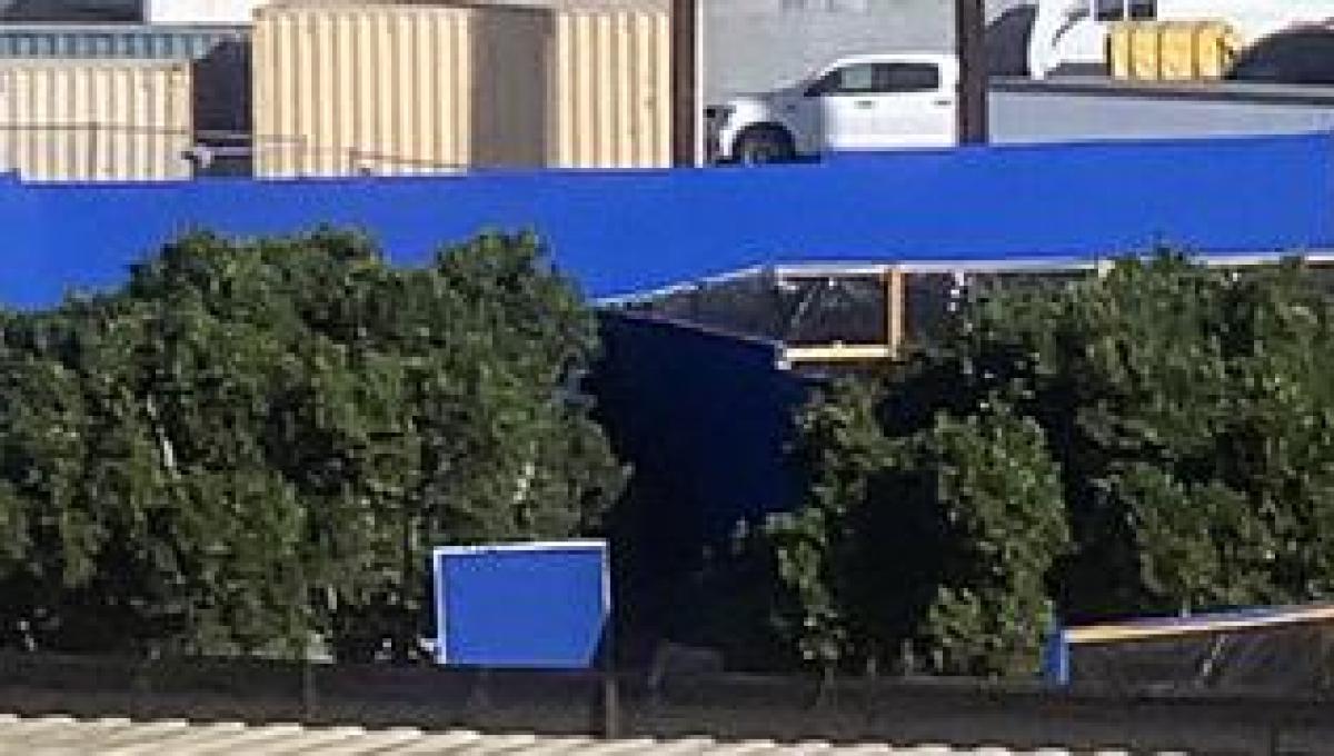 Immagine secondaria dell'articolo