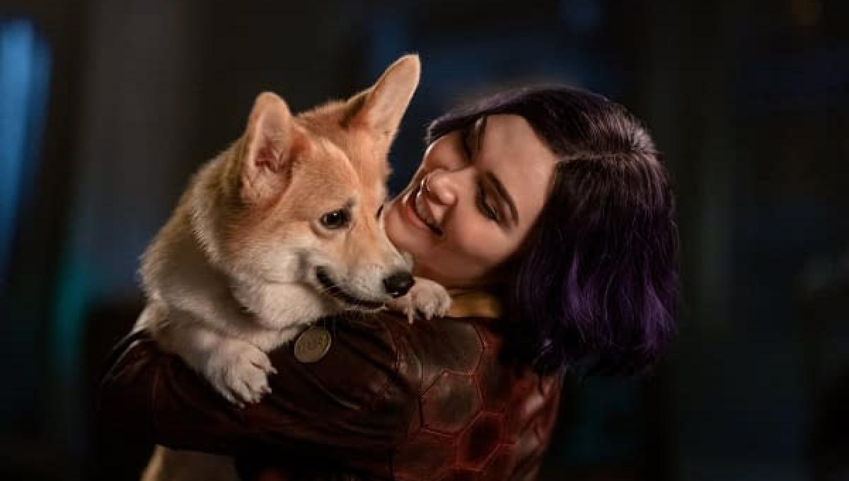 Immagine secondaria dell'articolo