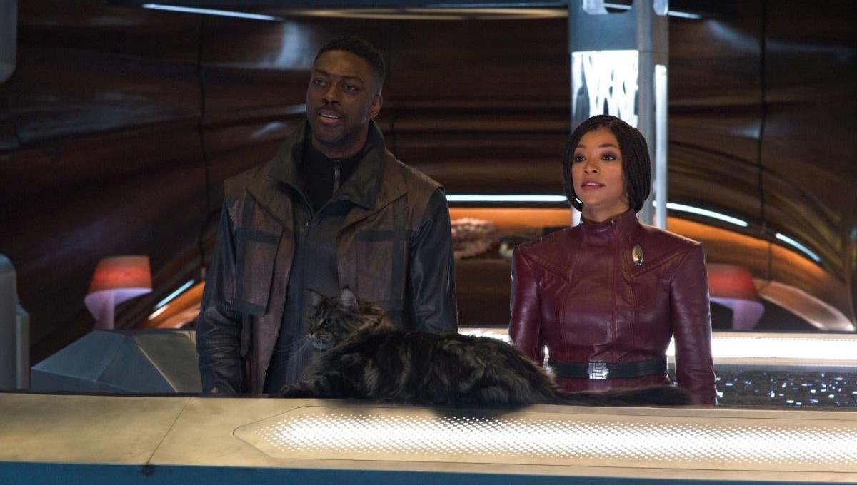 Immagine secondaria dell'articolo