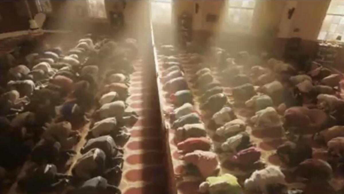 Immagine secondaria dell'articolo