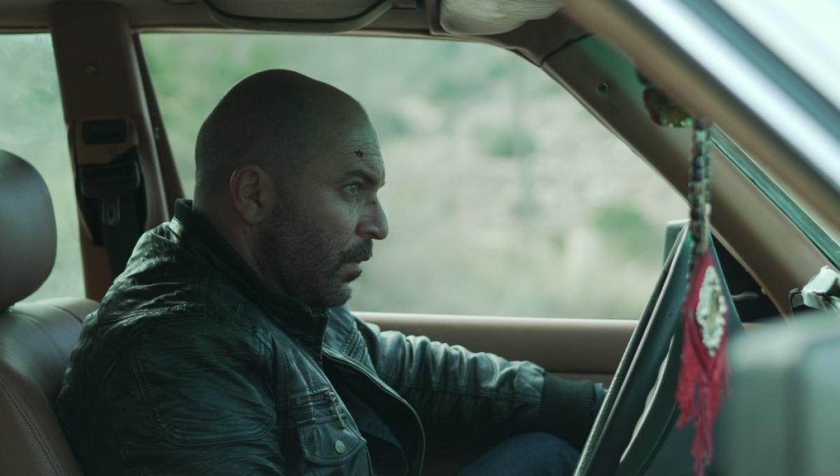 Immagine secondaria dell'articolo