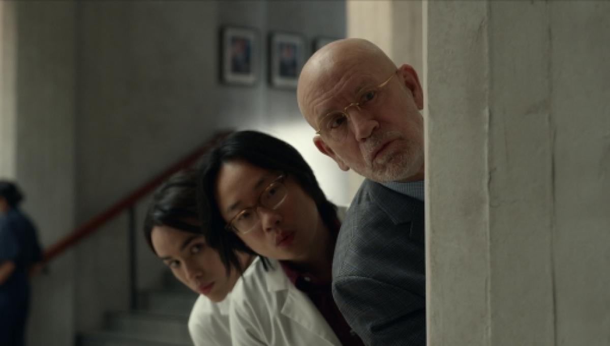 Immagine secondaria dell'articolo