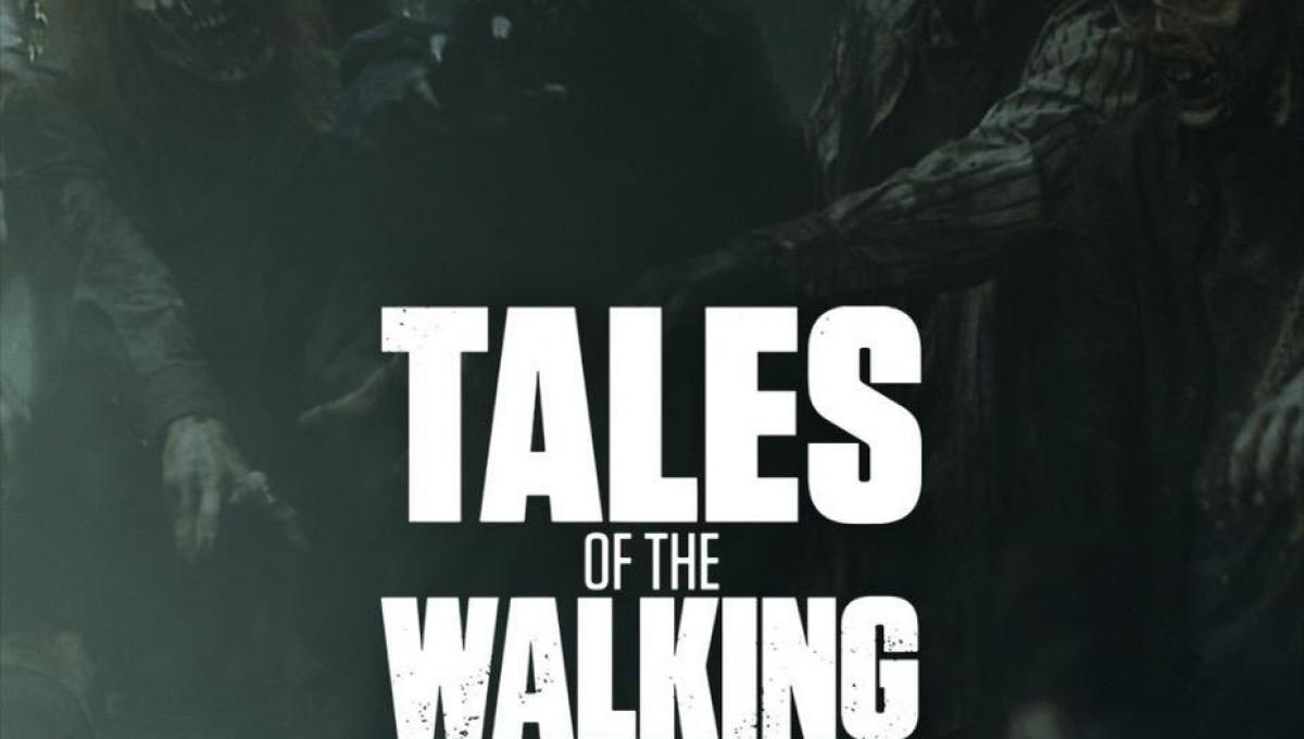 Immagine secondaria dell'articolo