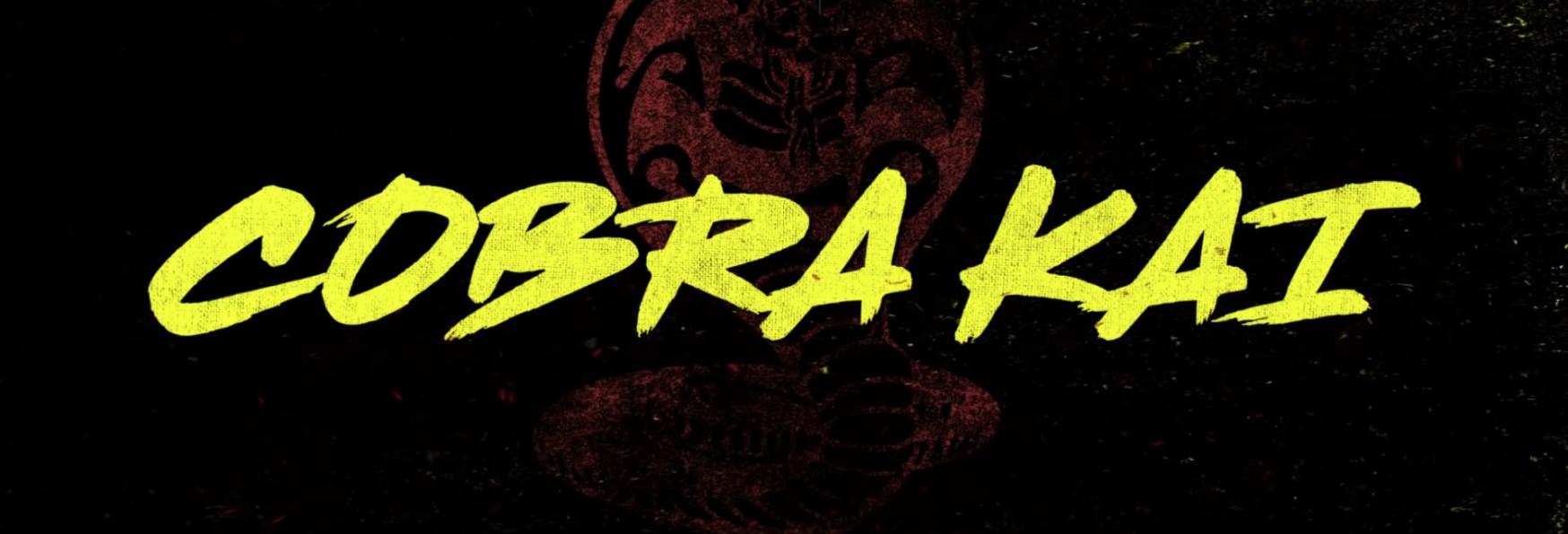 Cobra Kai 4: la recente Stagione della Serie TV Netflix è più Vista di The Witcher e Hawkeye!