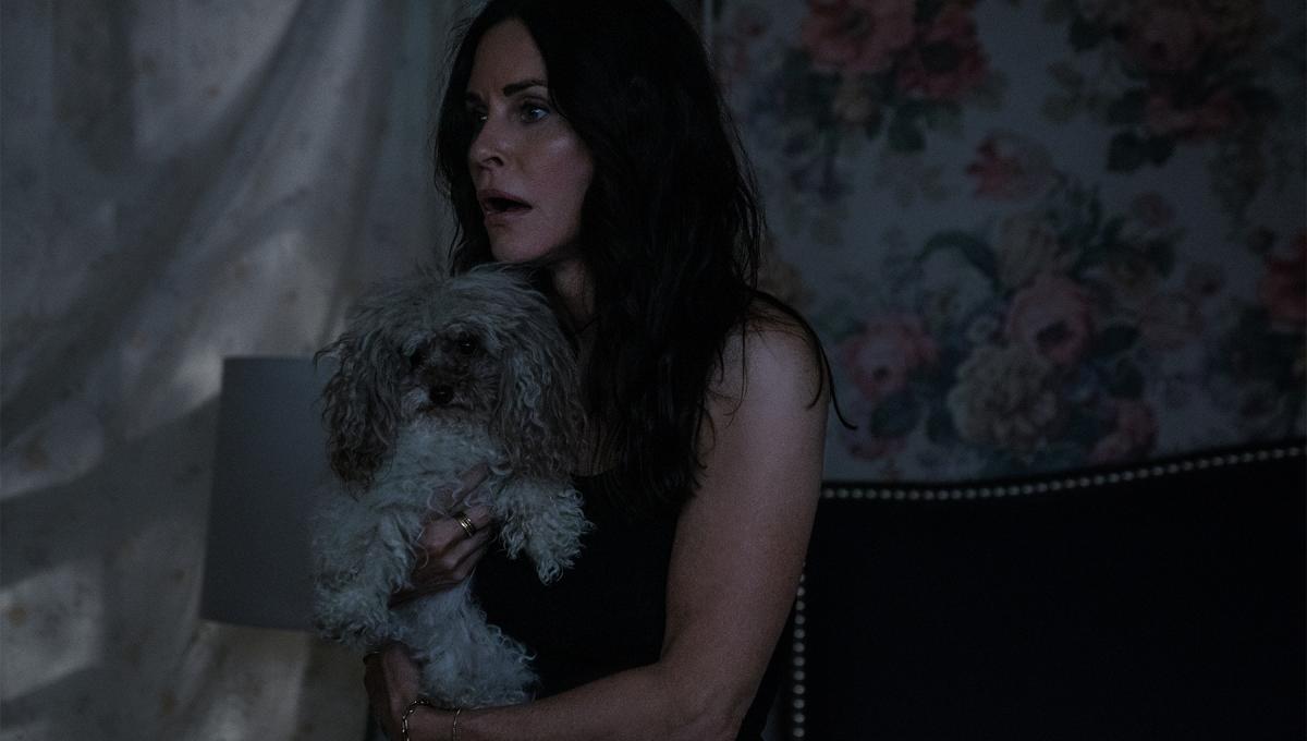 Immagine secondaria dell'articolo