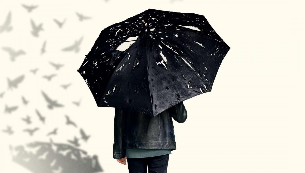 Immagine secondaria dell'articolo