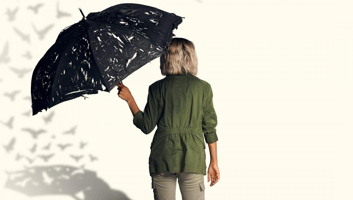 Immagine secondaria dell'articolo