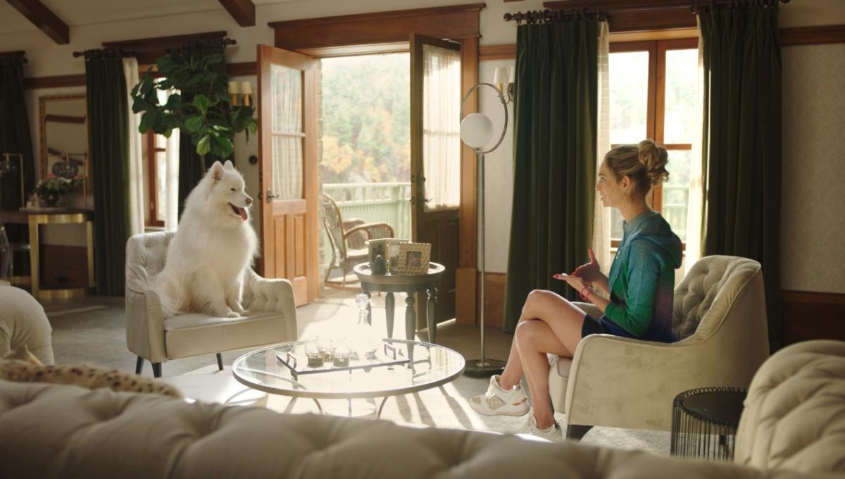 Immagine secondaria dell'articolo