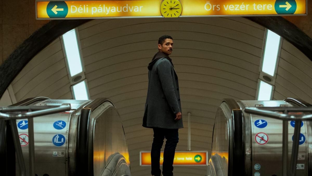 Immagine secondaria dell'articolo