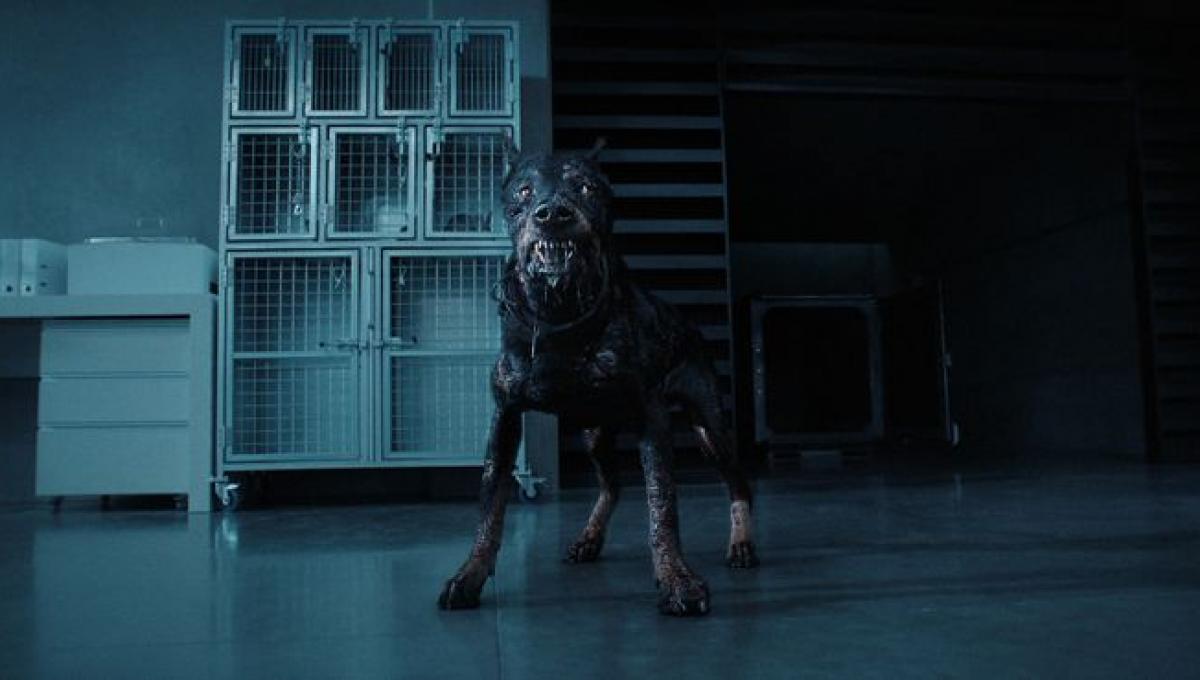 Immagine secondaria dell'articolo