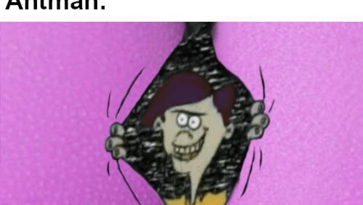 Immagine secondaria dell'articolo