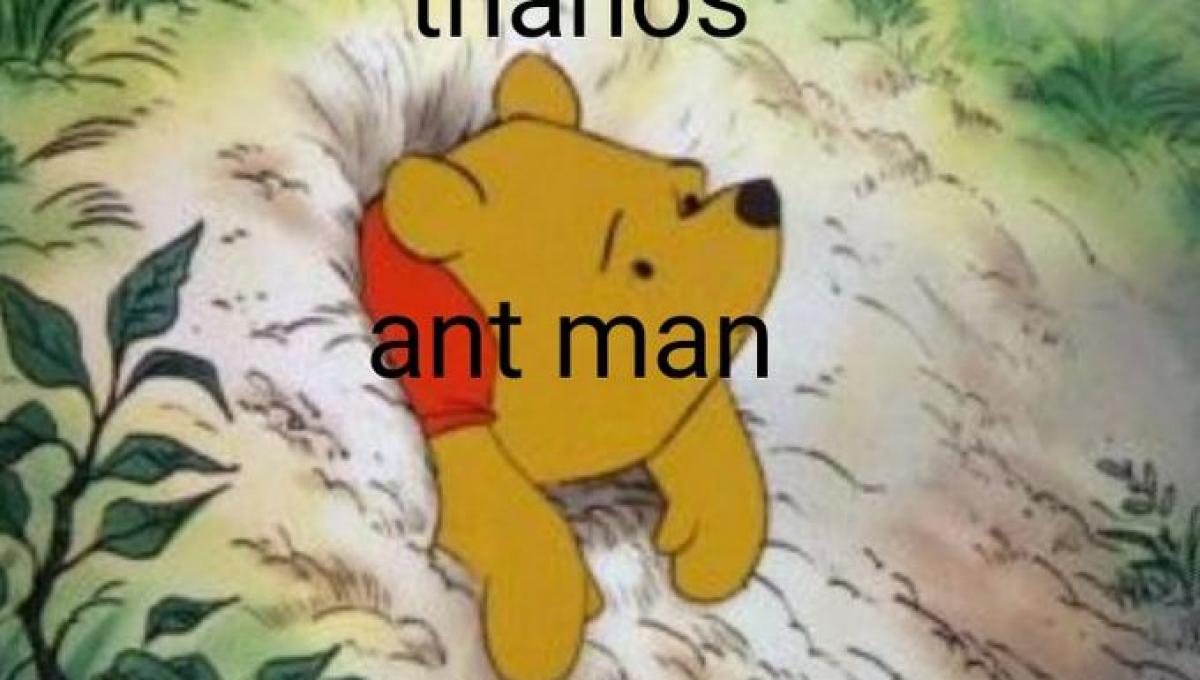 Immagine secondaria dell'articolo