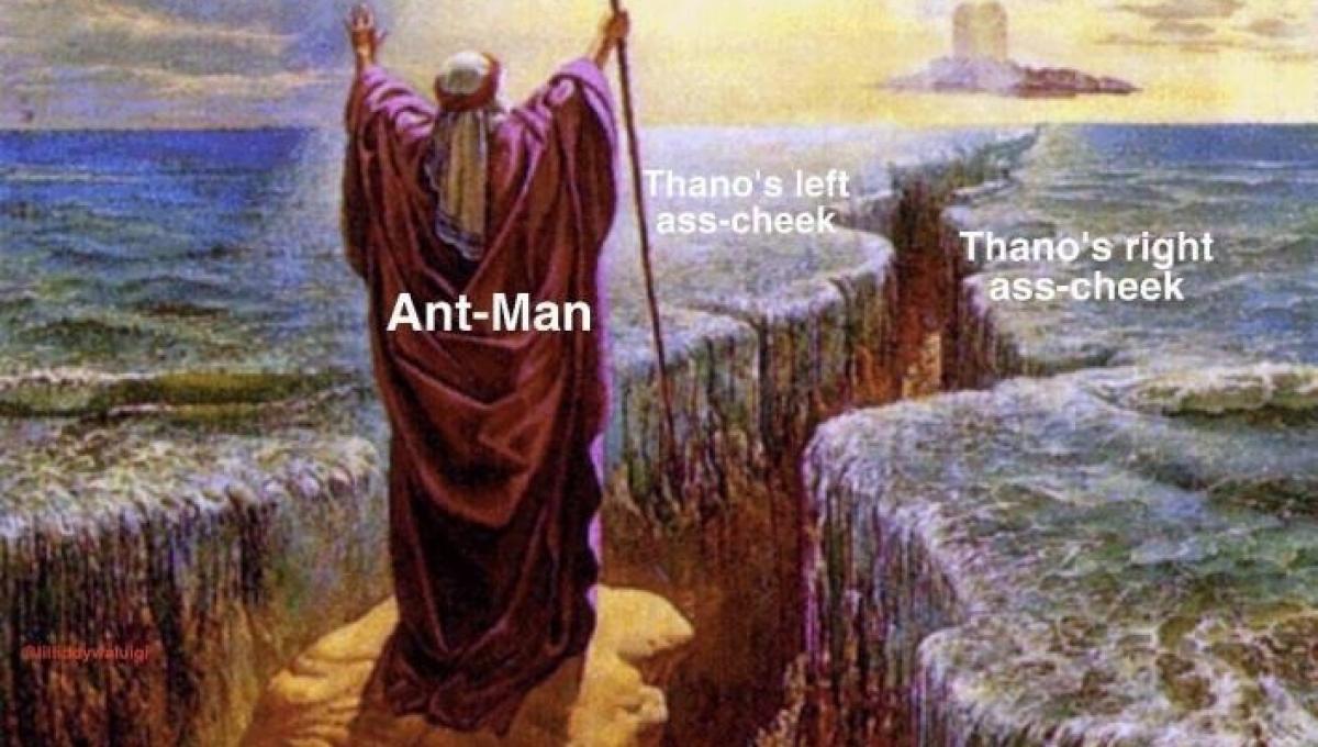 Immagine secondaria dell'articolo