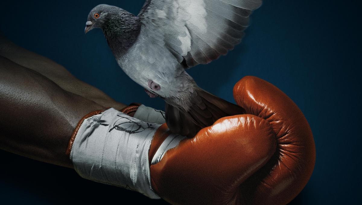 Immagine secondaria dell'articolo