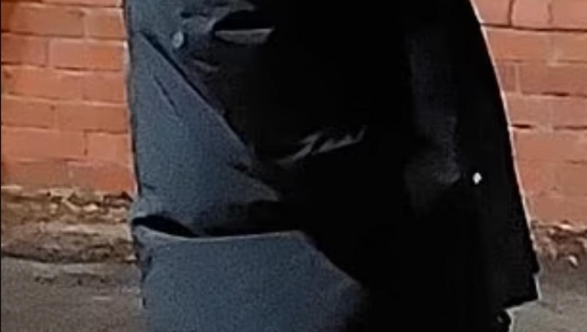 Immagine secondaria dell'articolo