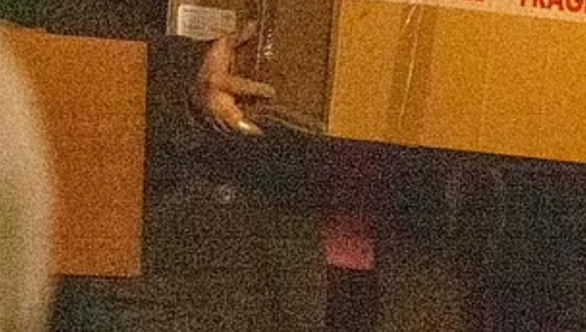 Immagine secondaria dell'articolo