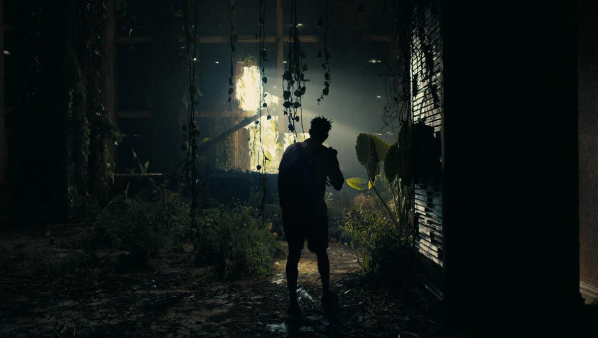 Immagine secondaria dell'articolo