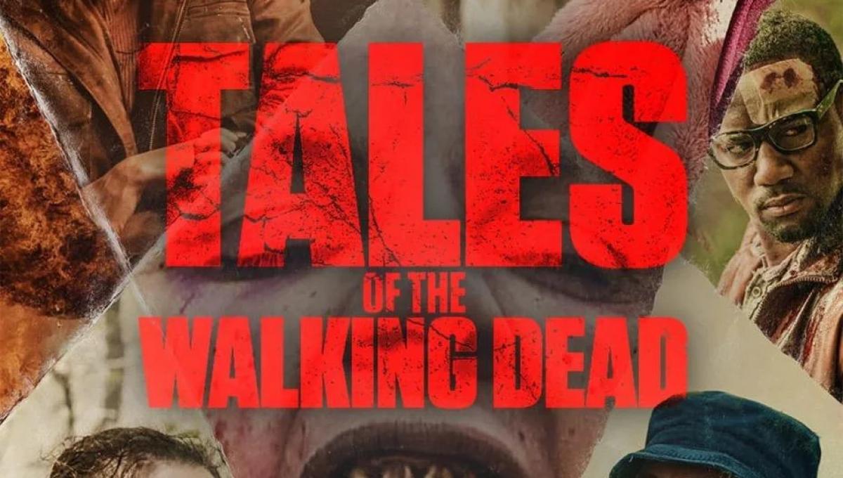 Immagine secondaria dell'articolo