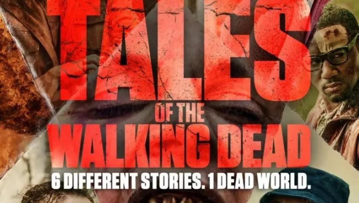 Immagine secondaria dell'articolo