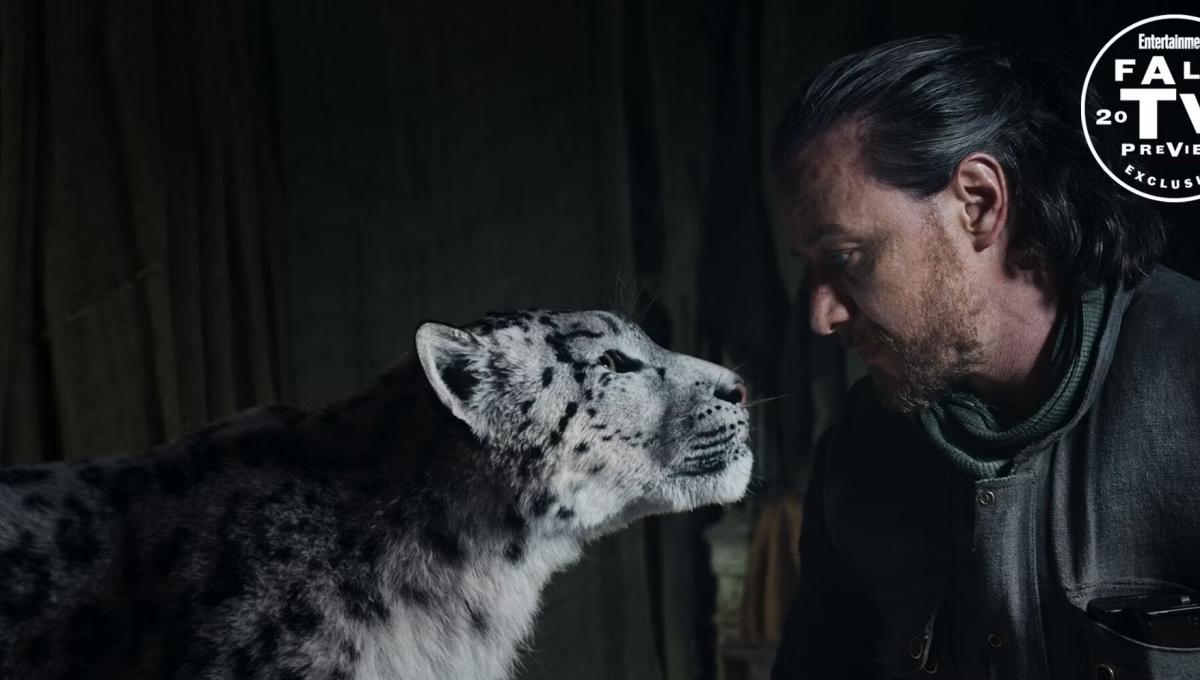 Immagine secondaria dell'articolo