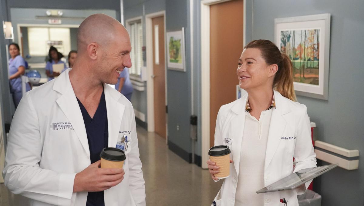 Grey's Anatomy 19: ecco Quando la nuova Stagione sarà Disponibile su Disney+