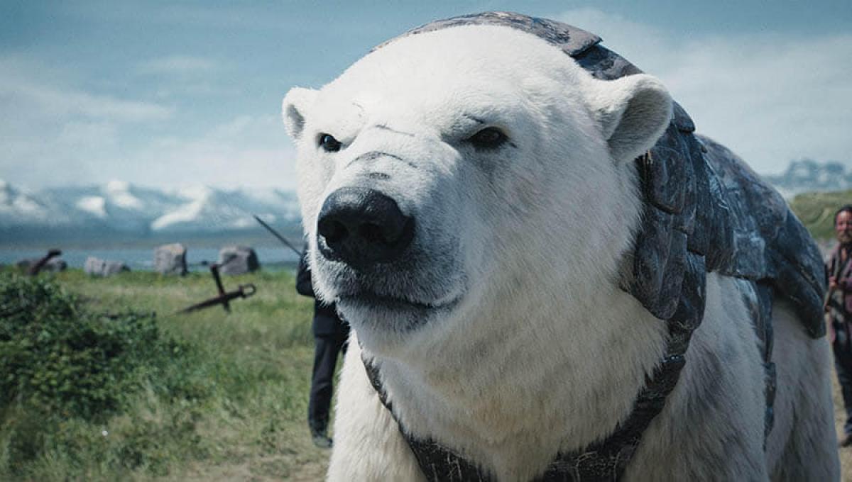 Immagine secondaria dell'articolo