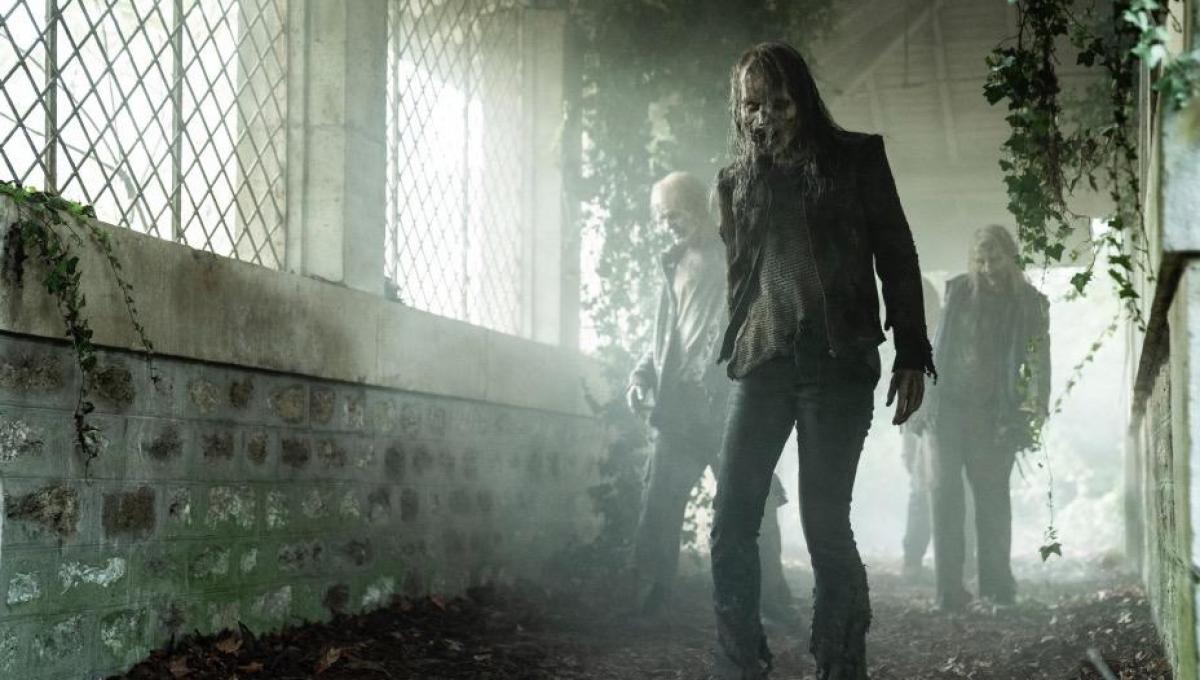 Immagine secondaria dell'articolo